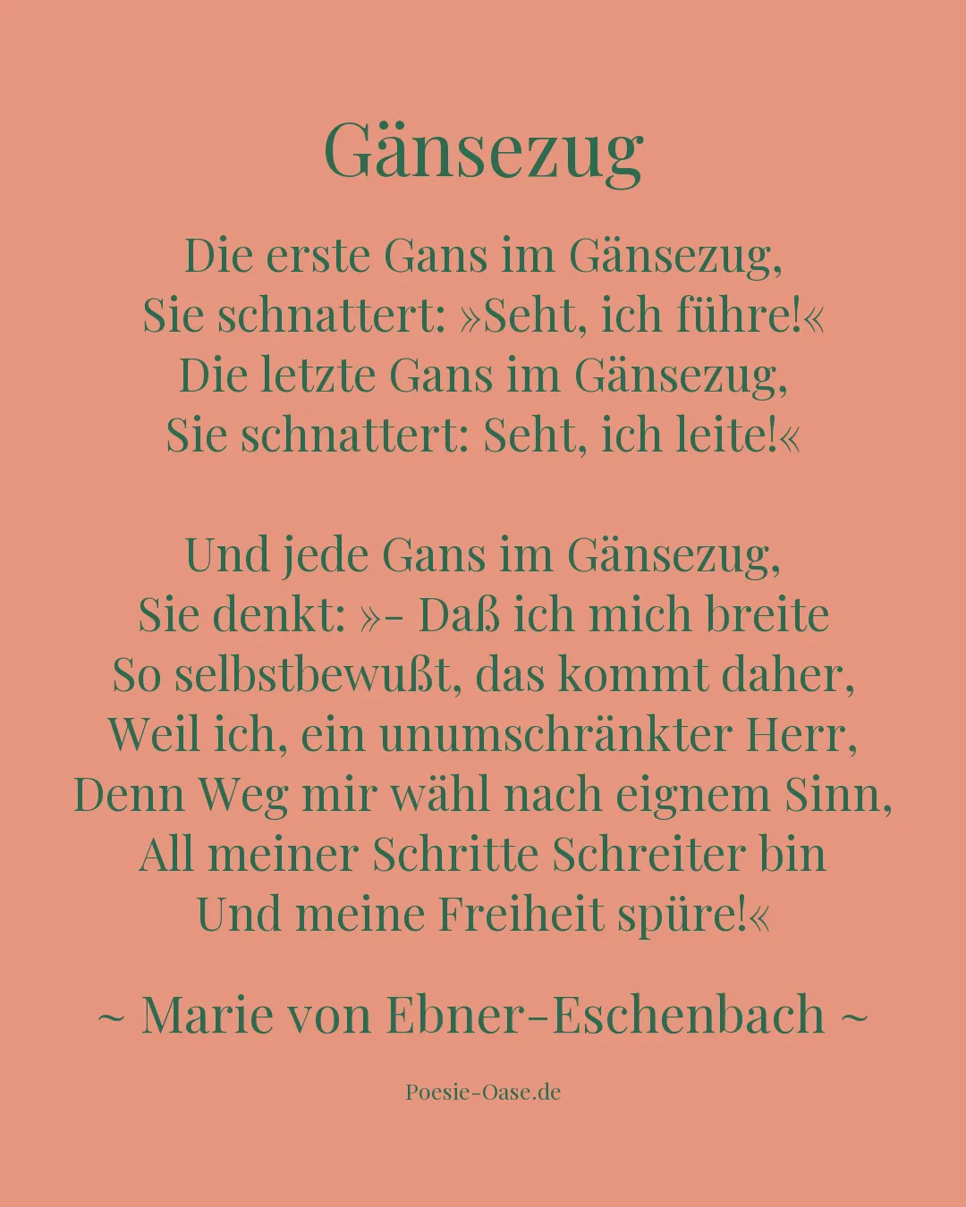 Illustration zu Gänsezug
