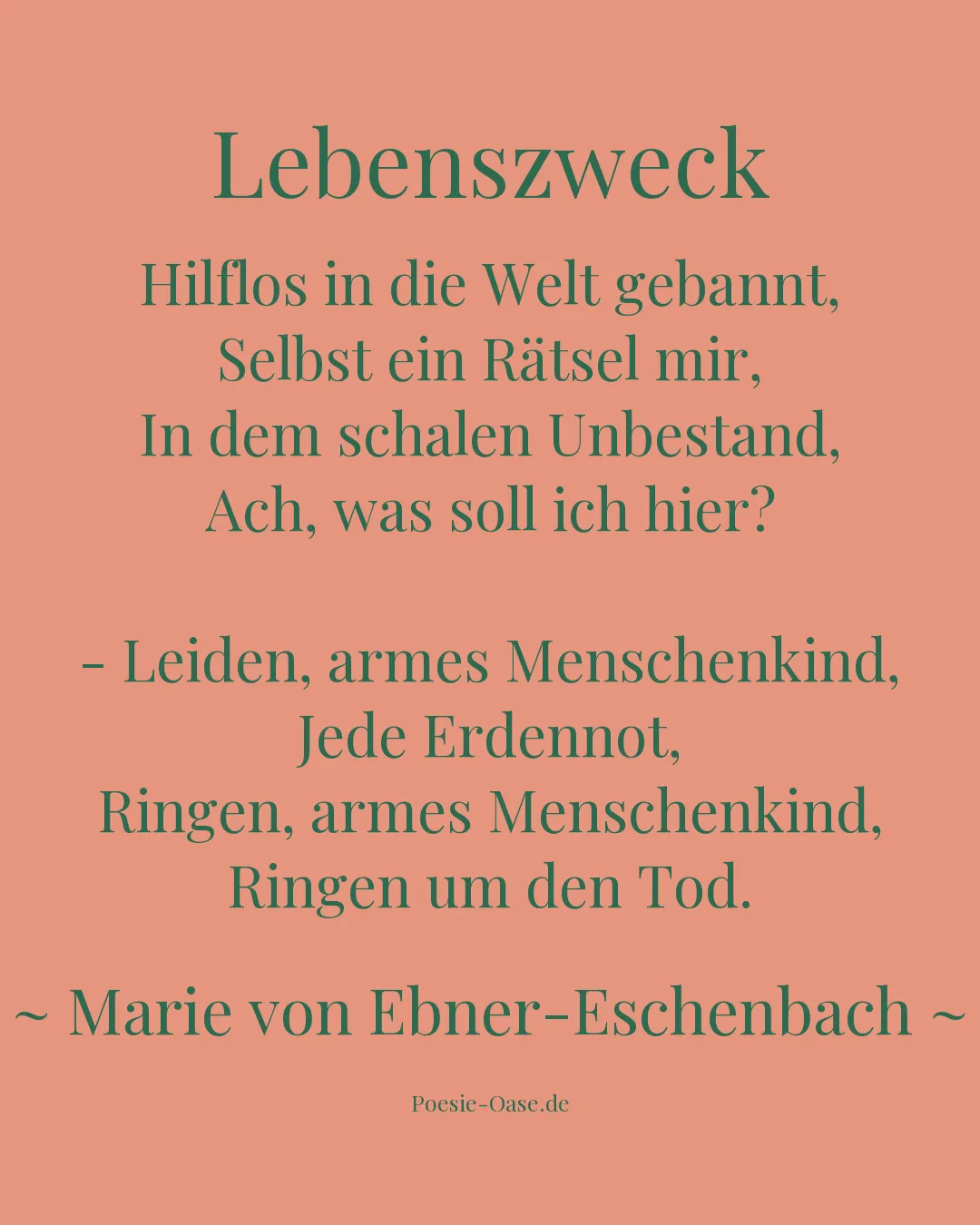 Illustration zu Lebenszweck