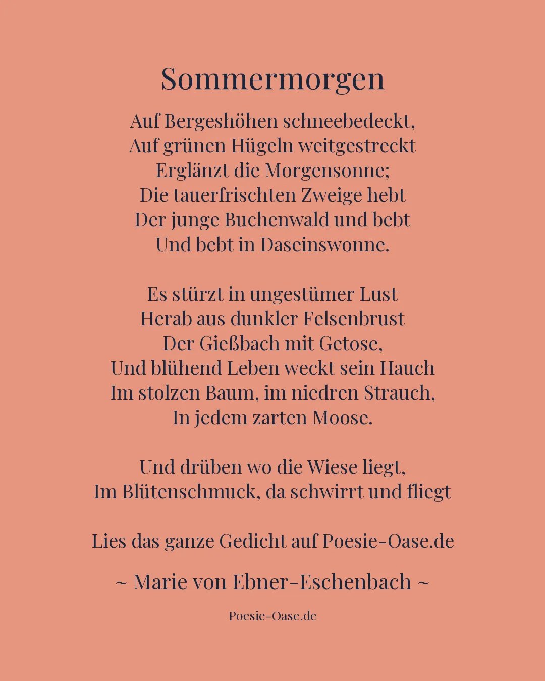 Illustration zu Sommermorgen