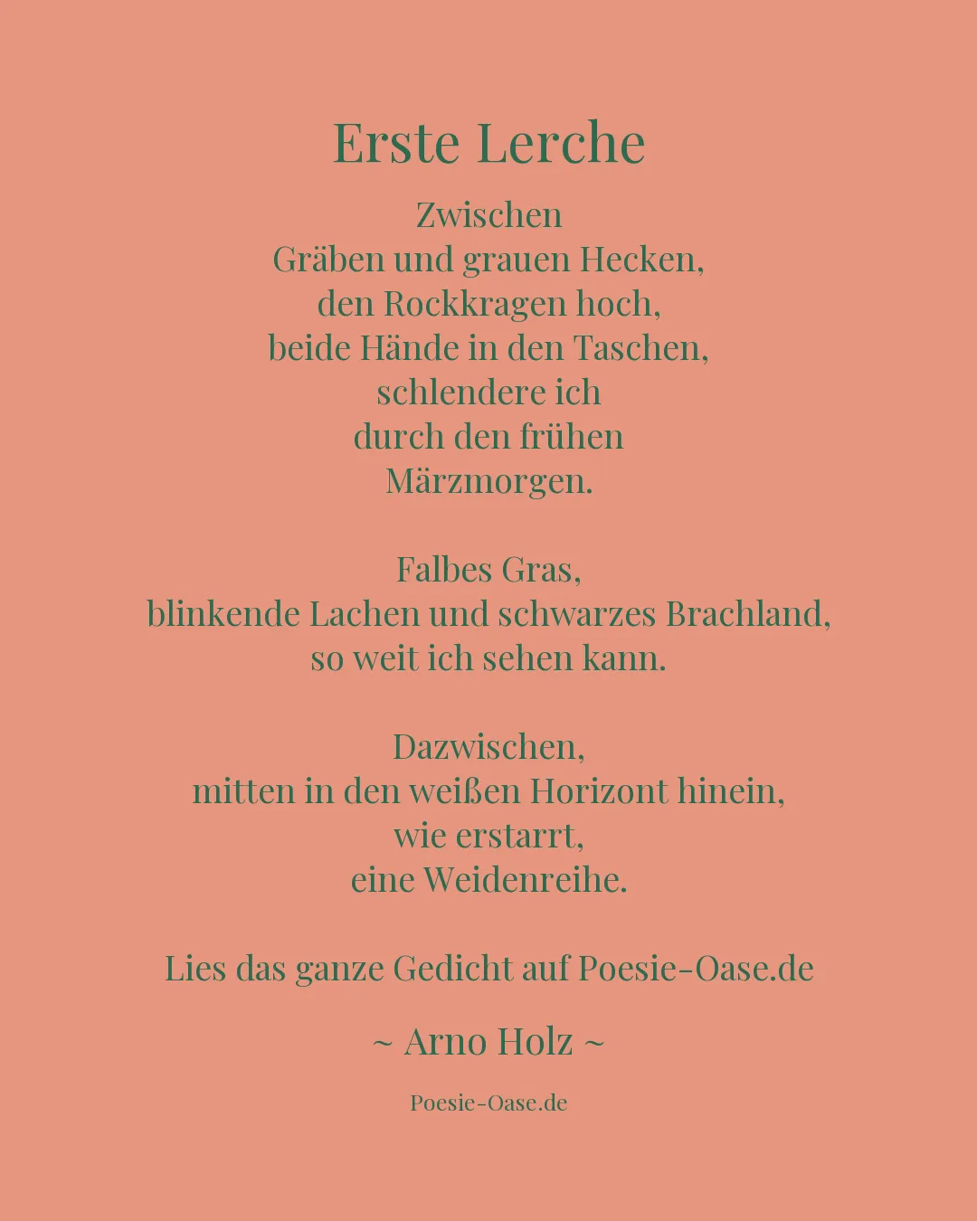 Illustration zu Erste Lerche