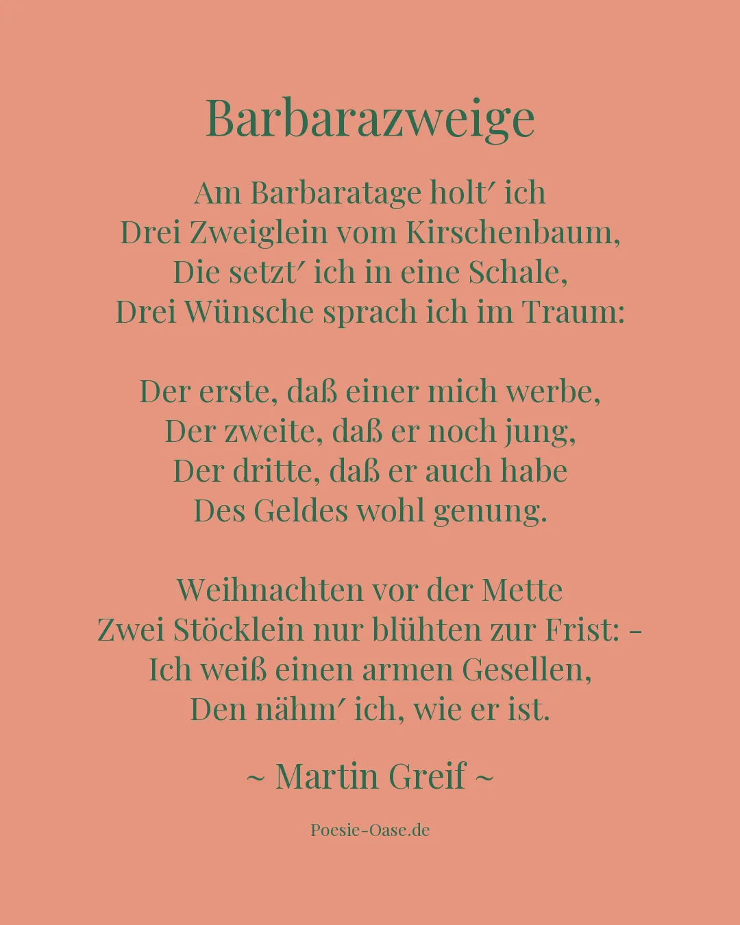 Illustration zu Barbarazweige