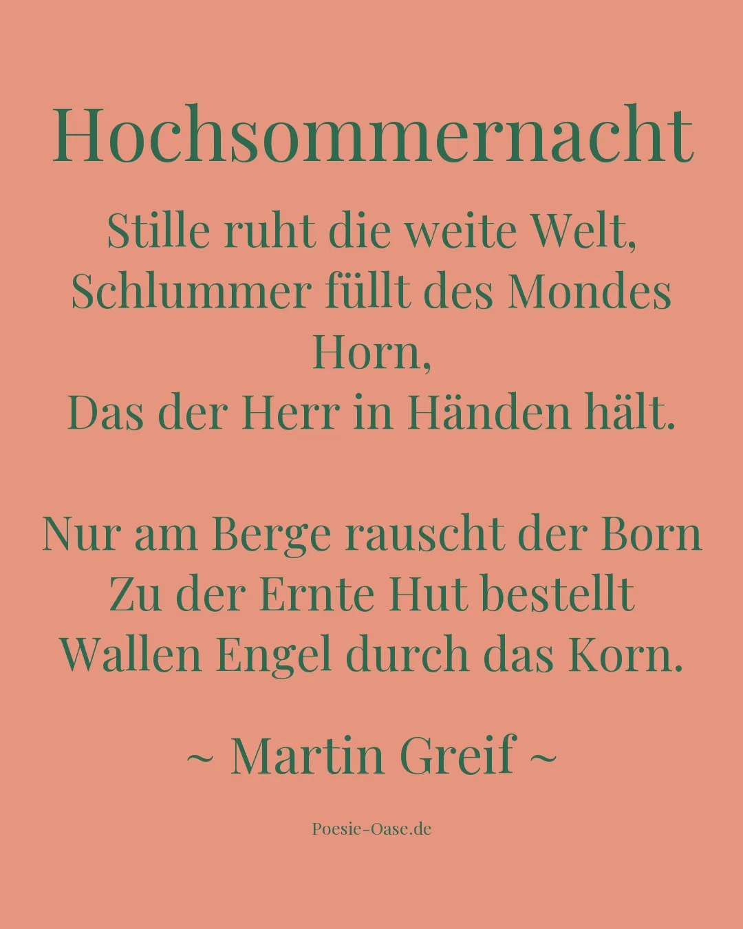 Illustration zu Hochsommernacht