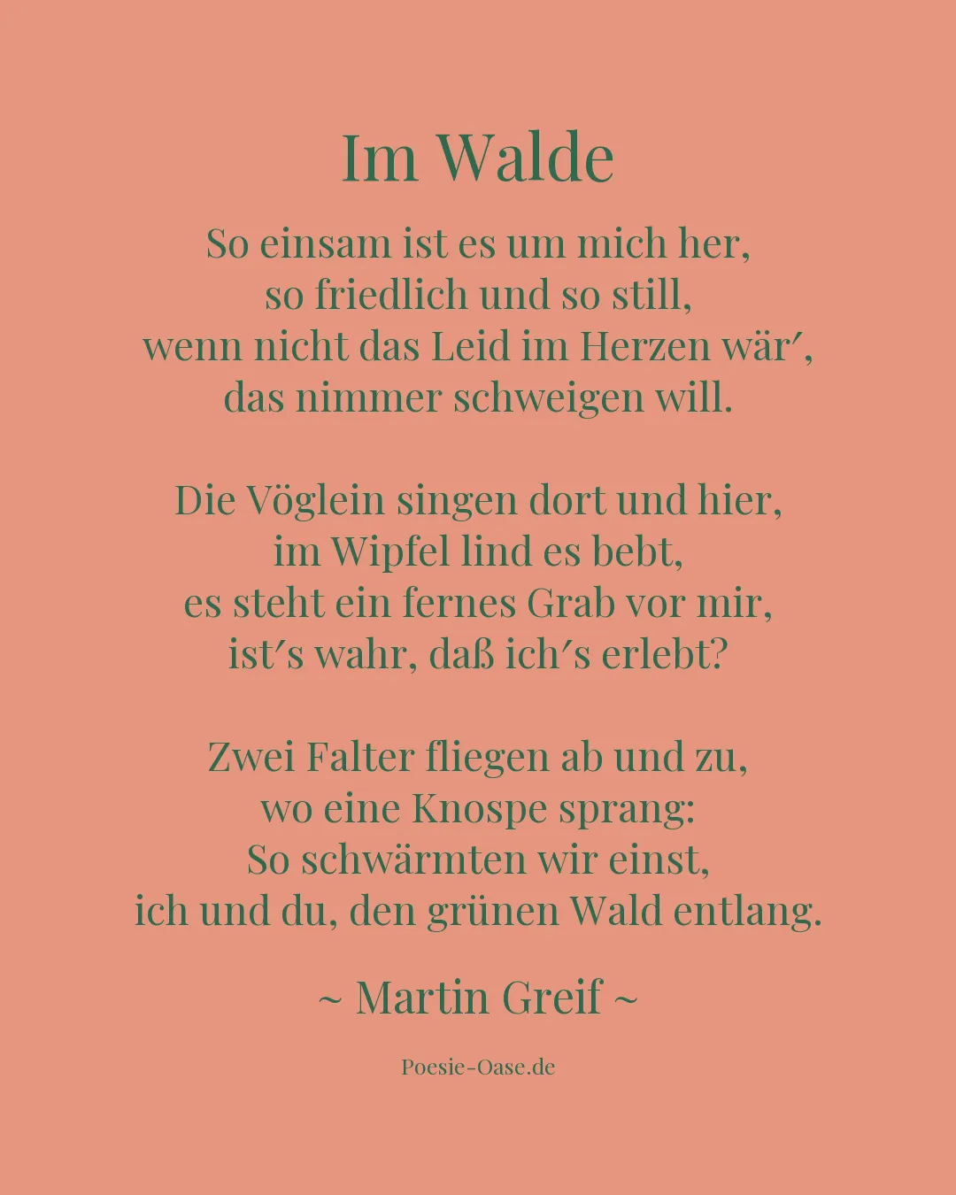 Illustration zu Im Walde