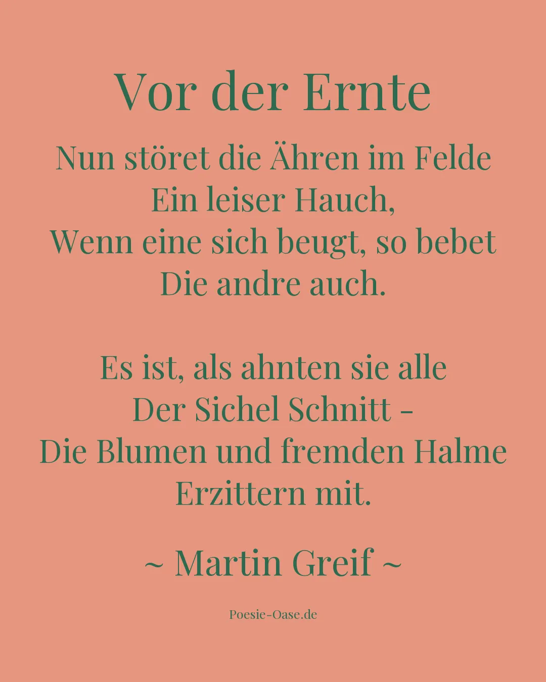 Illustration zu Vor der Ernte