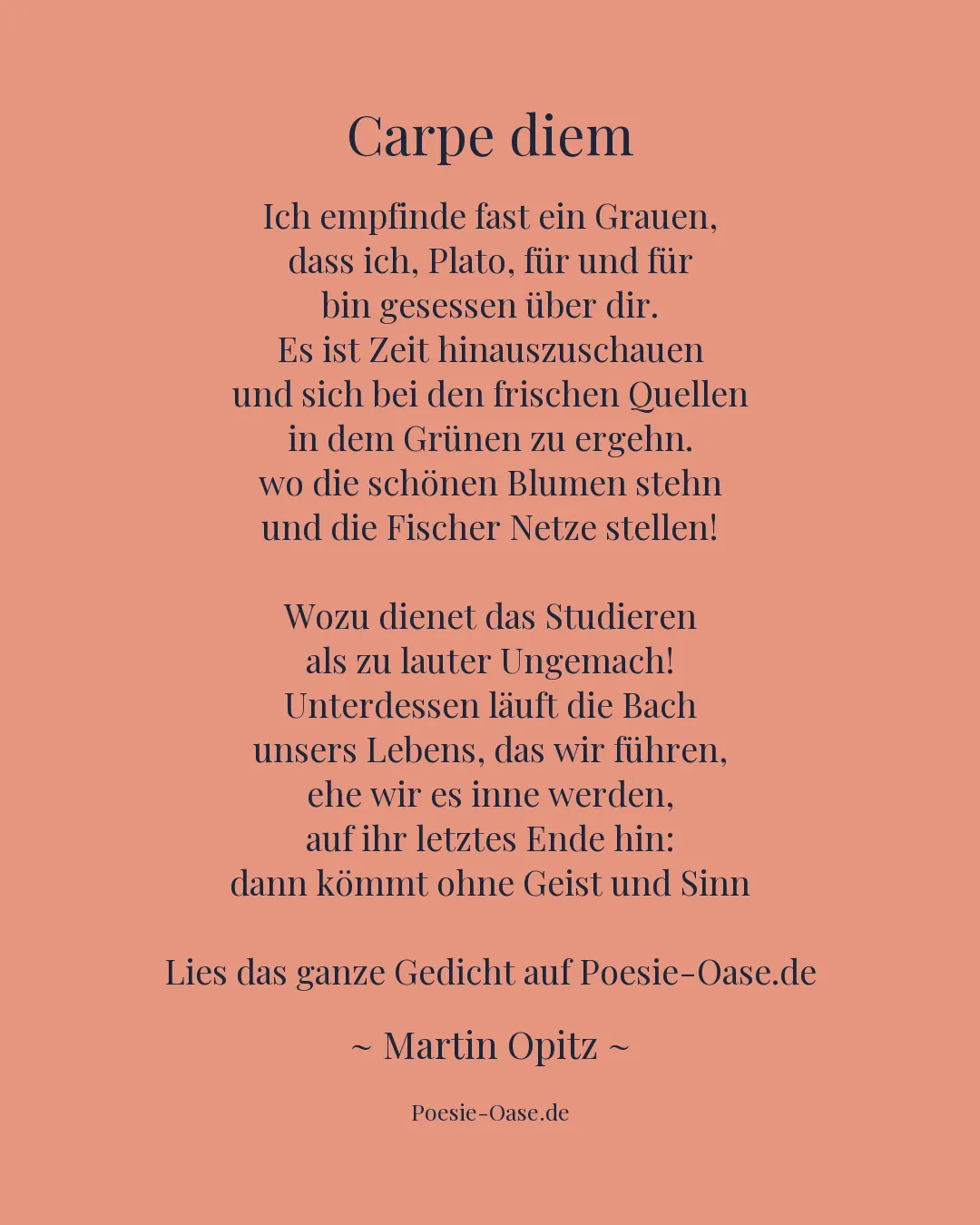 Illustration zu Carpe diem