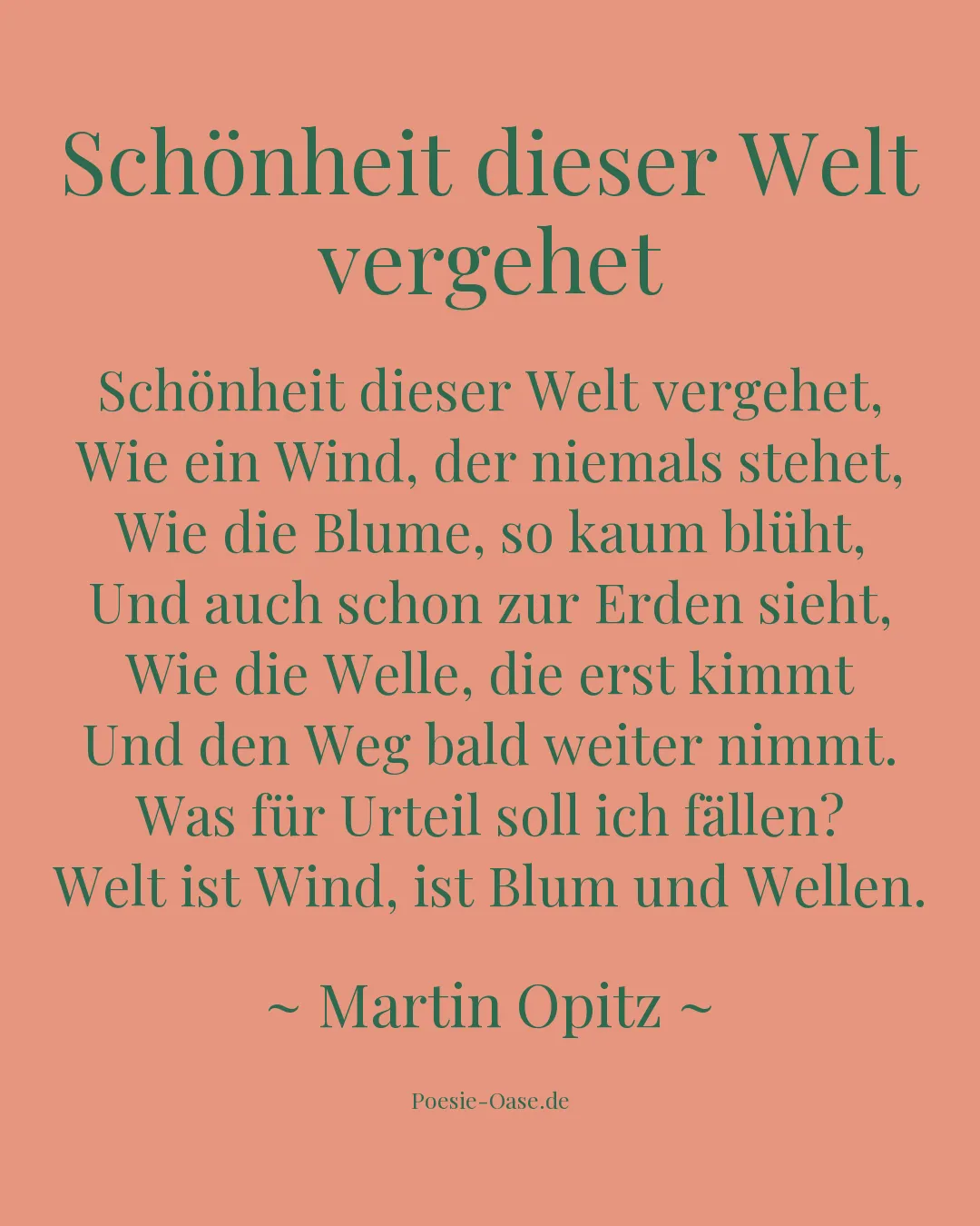 Illustration zu Schönheit dieser Welt vergehet