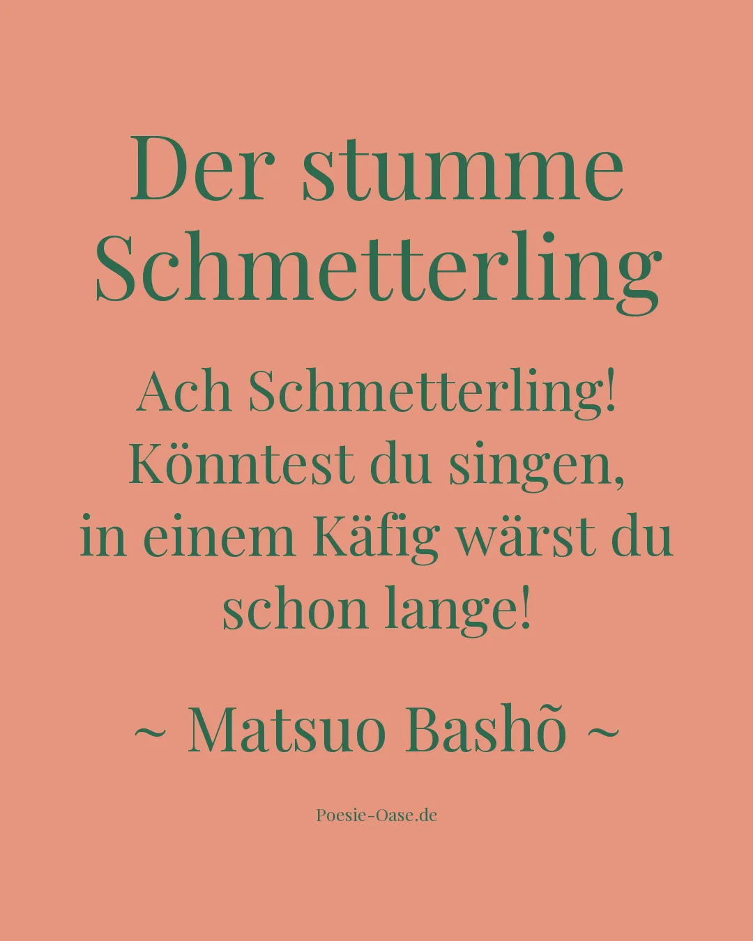 Illustration zu Der stumme Schmetterling