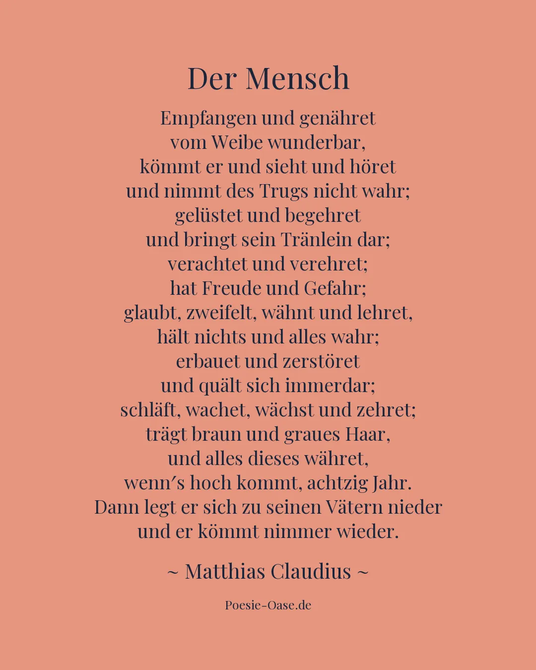 Illustration zu Der Mensch