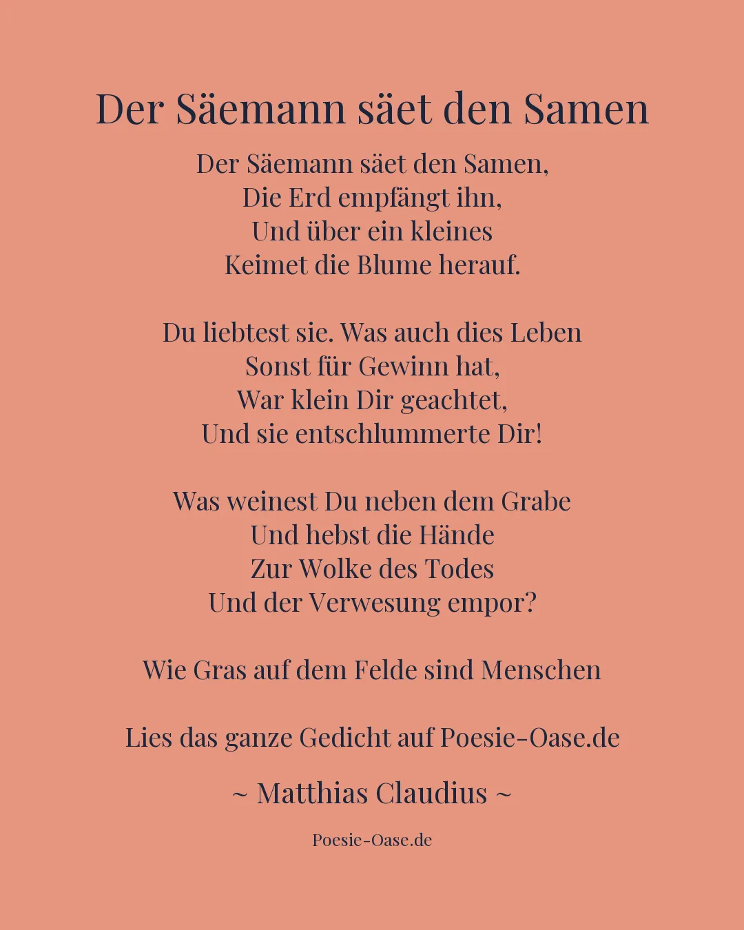 Illustration zu Der Säemann säet den Samen