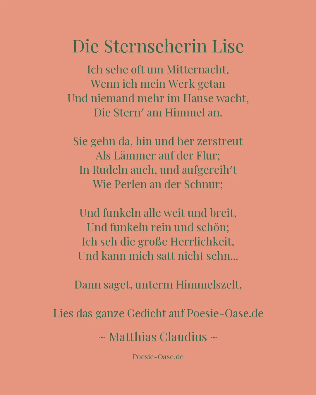Illustration zu Die Sternseherin Lise