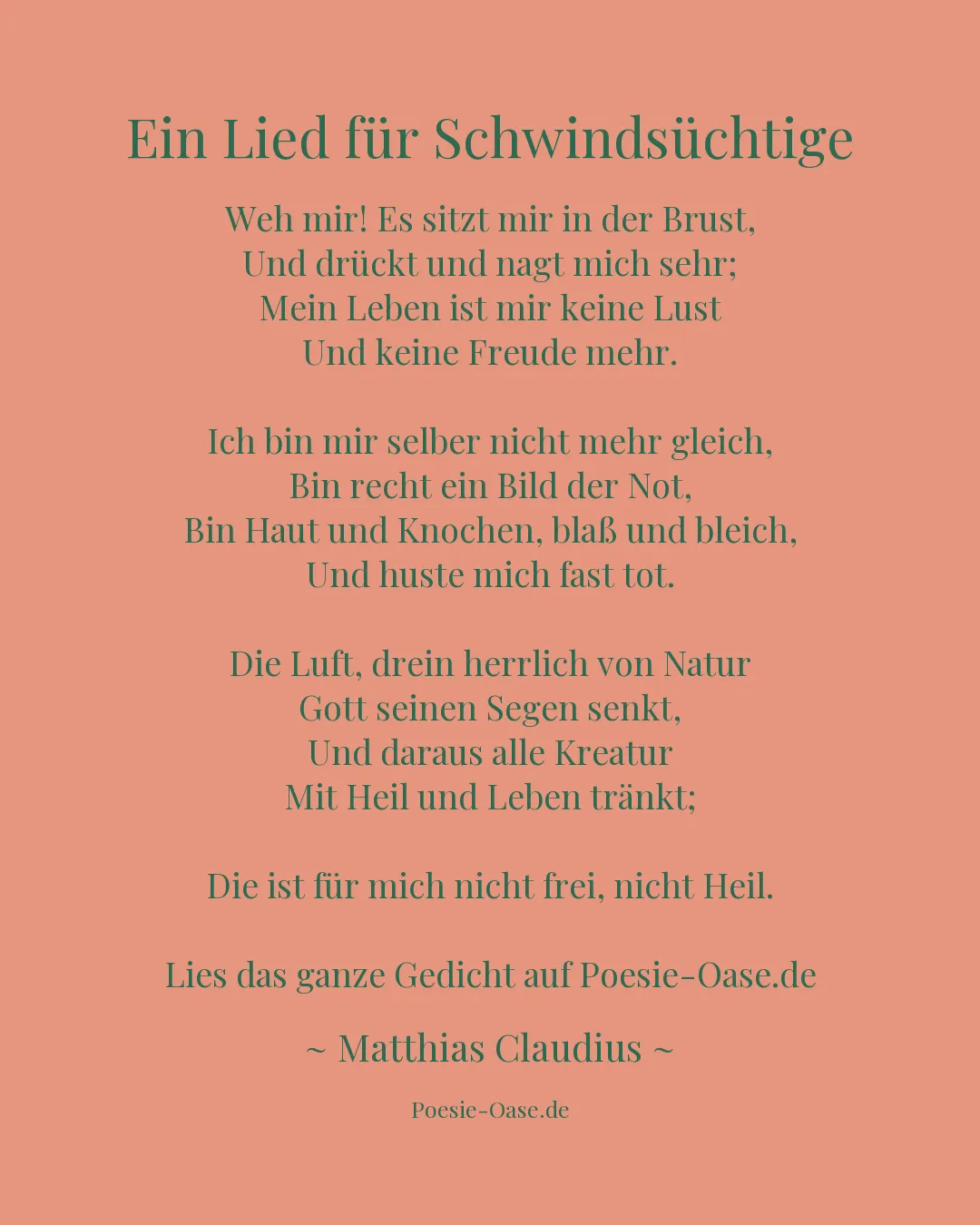 Illustration zu Ein Lied für Schwindsüchtige