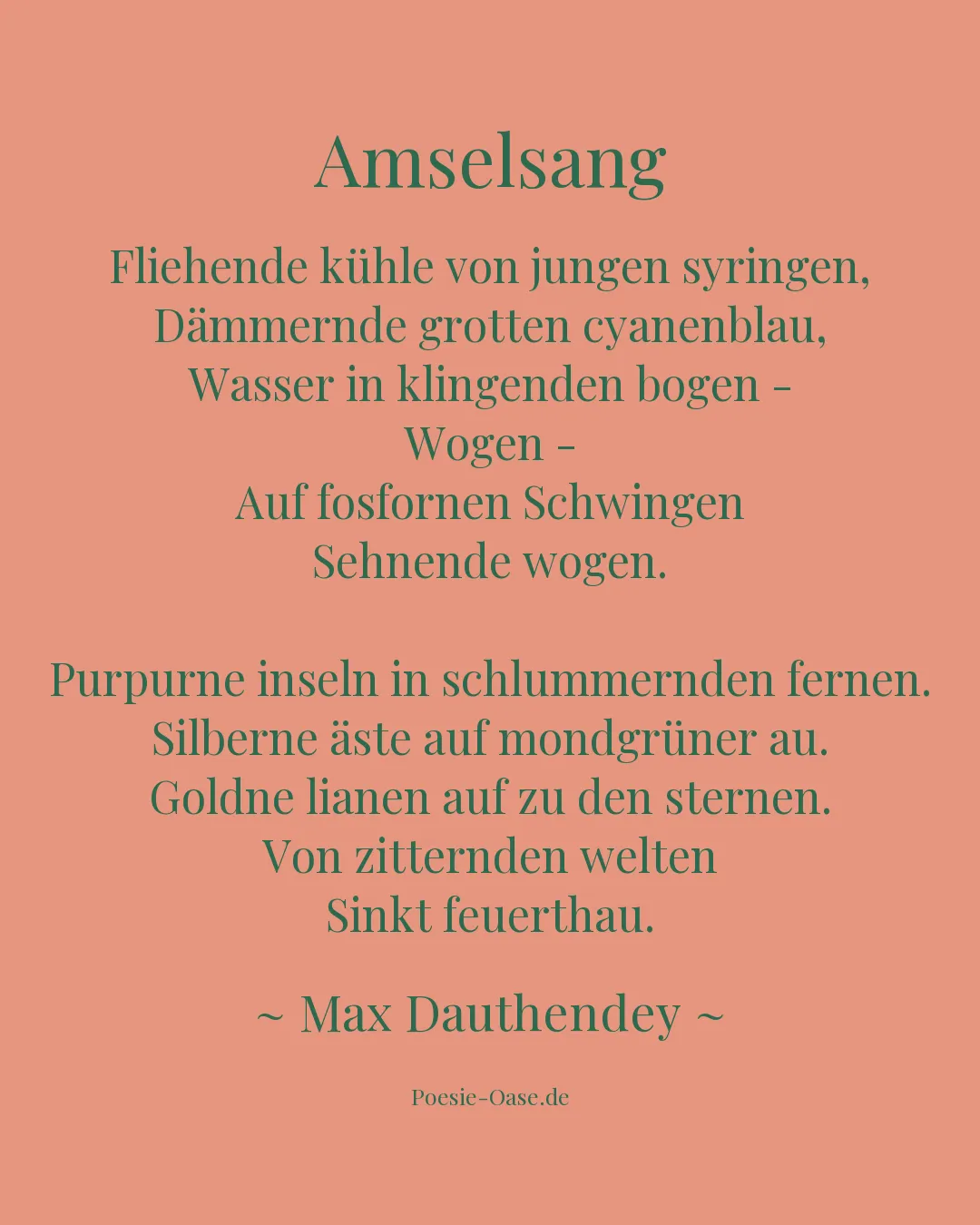 Illustration zu Amselsang
