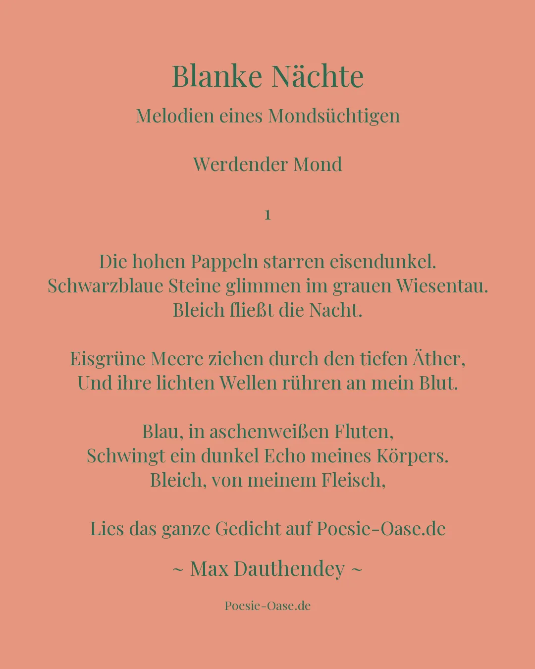 Illustration zu Blanke Nächte