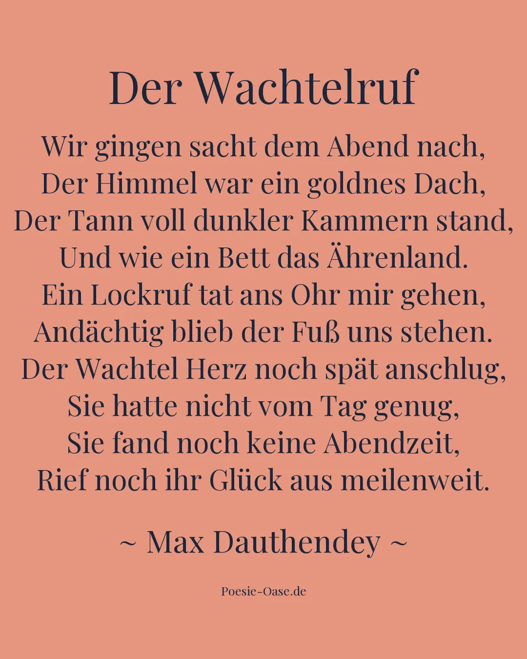 Illustration zu Der Wachtelruf