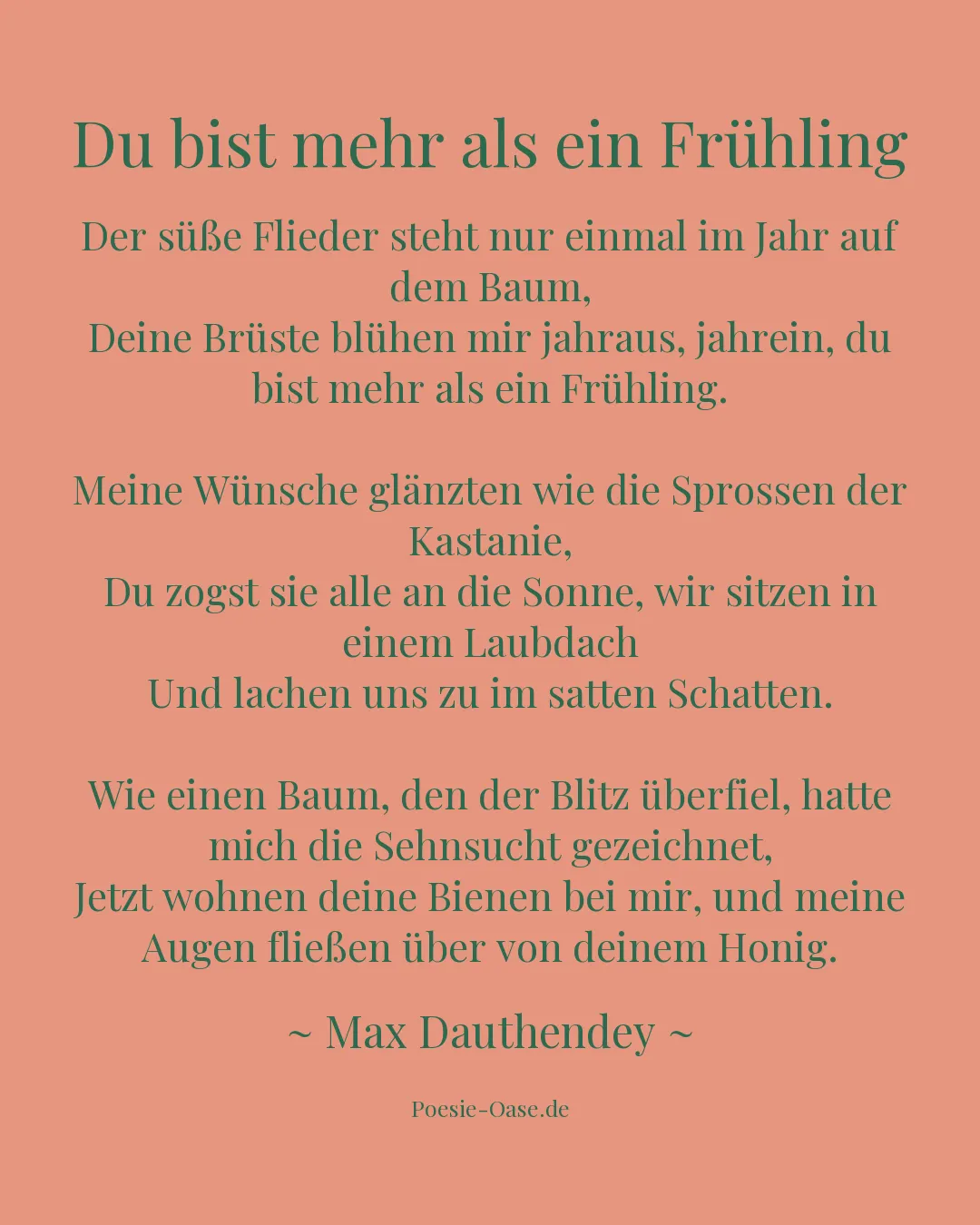 Illustration zu Du bist mehr als ein Frühling