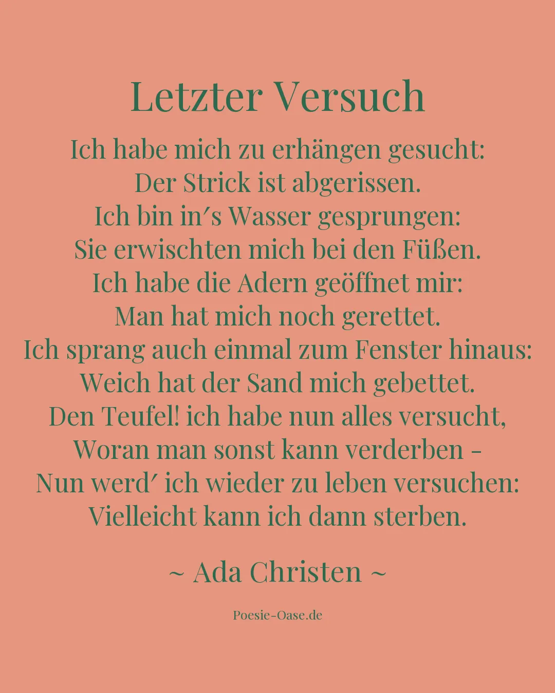 Illustration zu Letzter Versuch