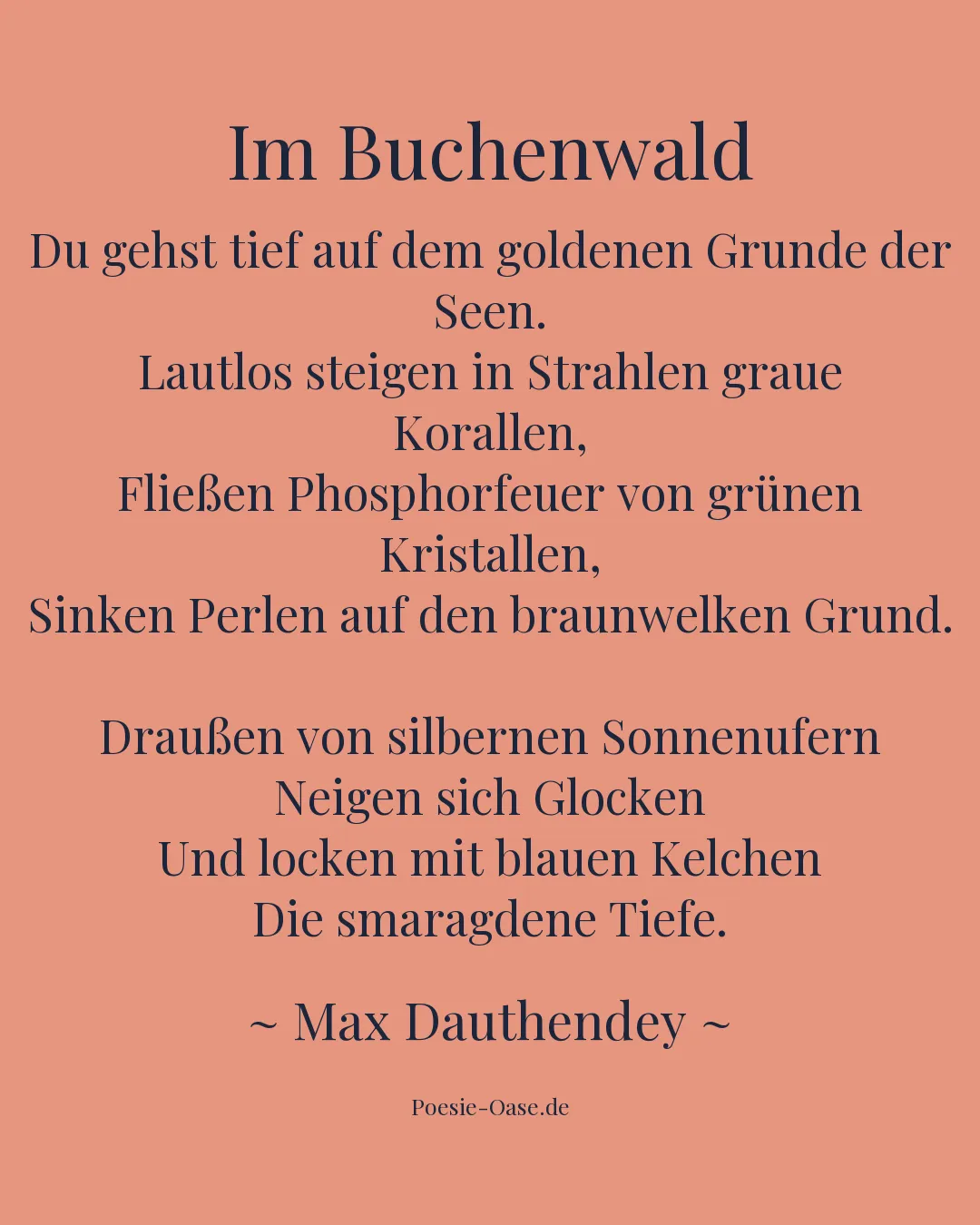 Illustration zu Im Buchenwald