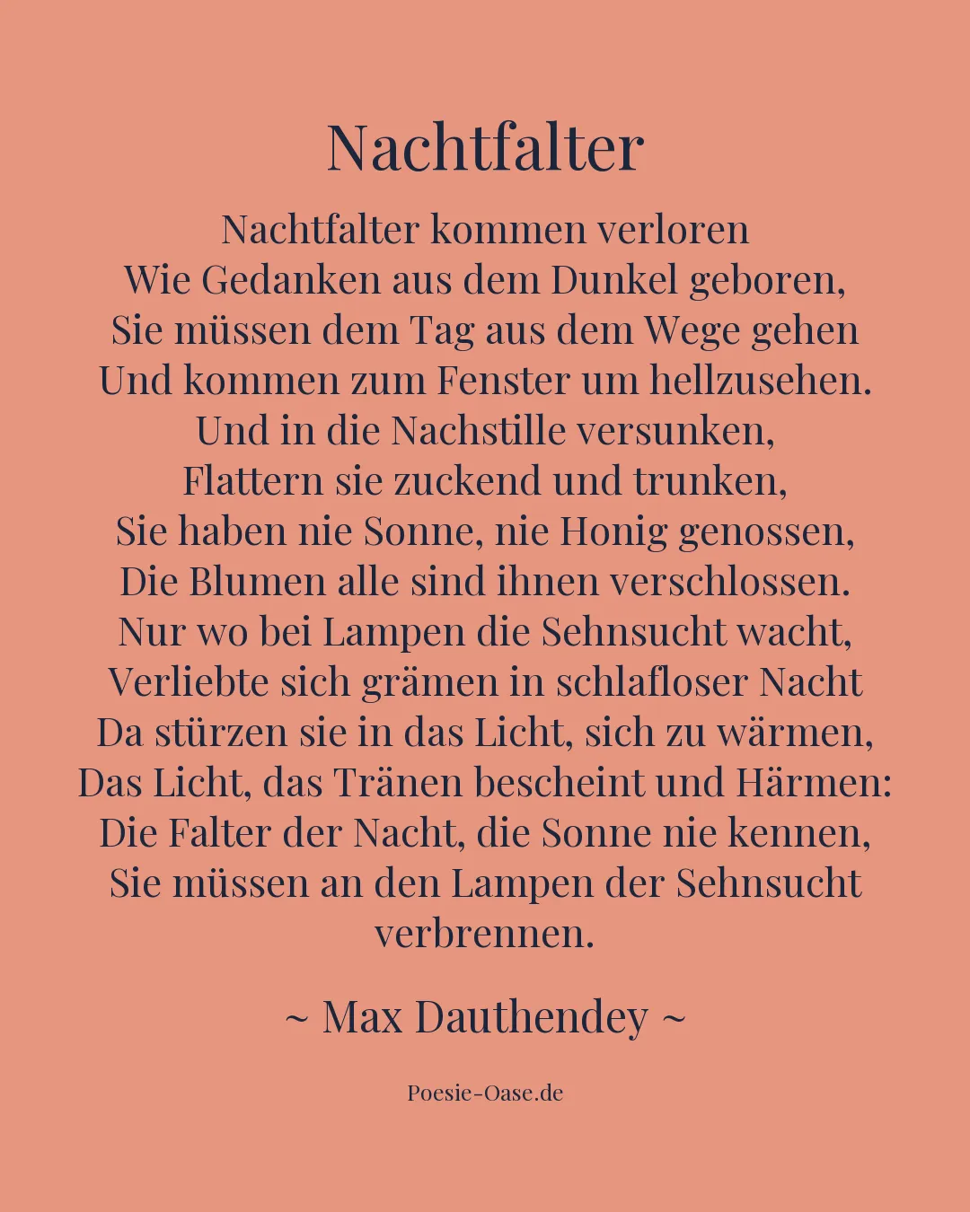 Illustration zu Nachtfalter