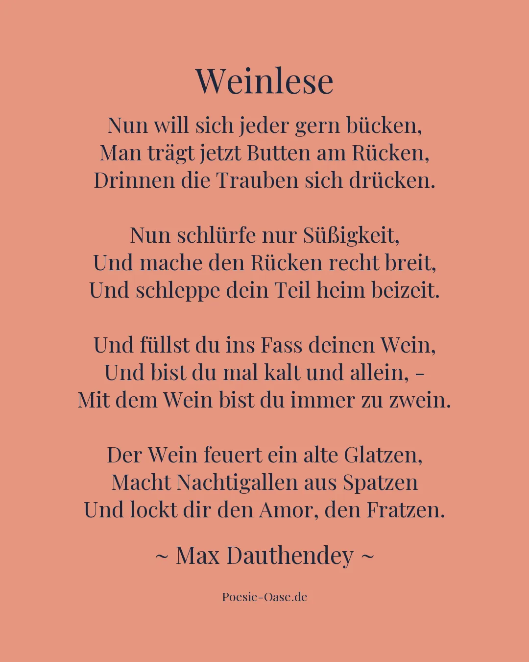 Illustration zu Weinlese