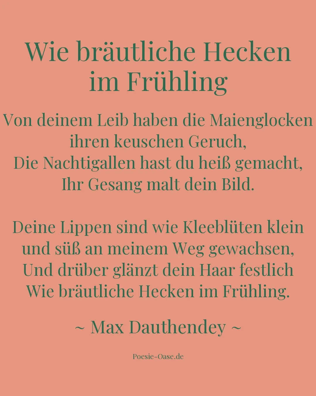 Illustration zu Wie bräutliche Hecken im Frühling