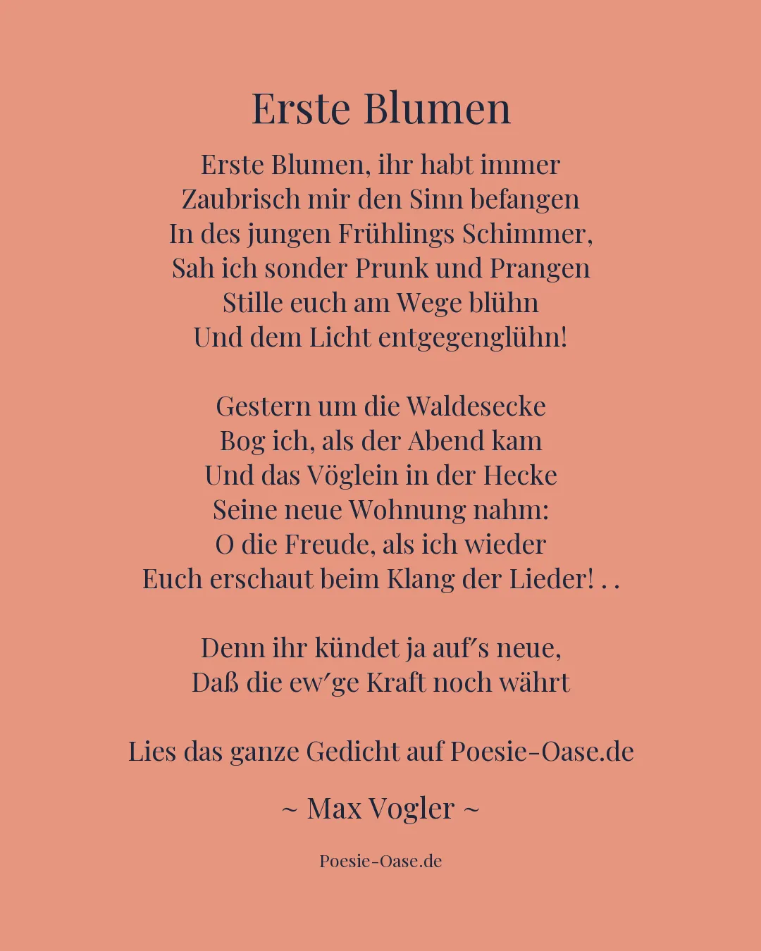 Illustration zu Erste Blumen