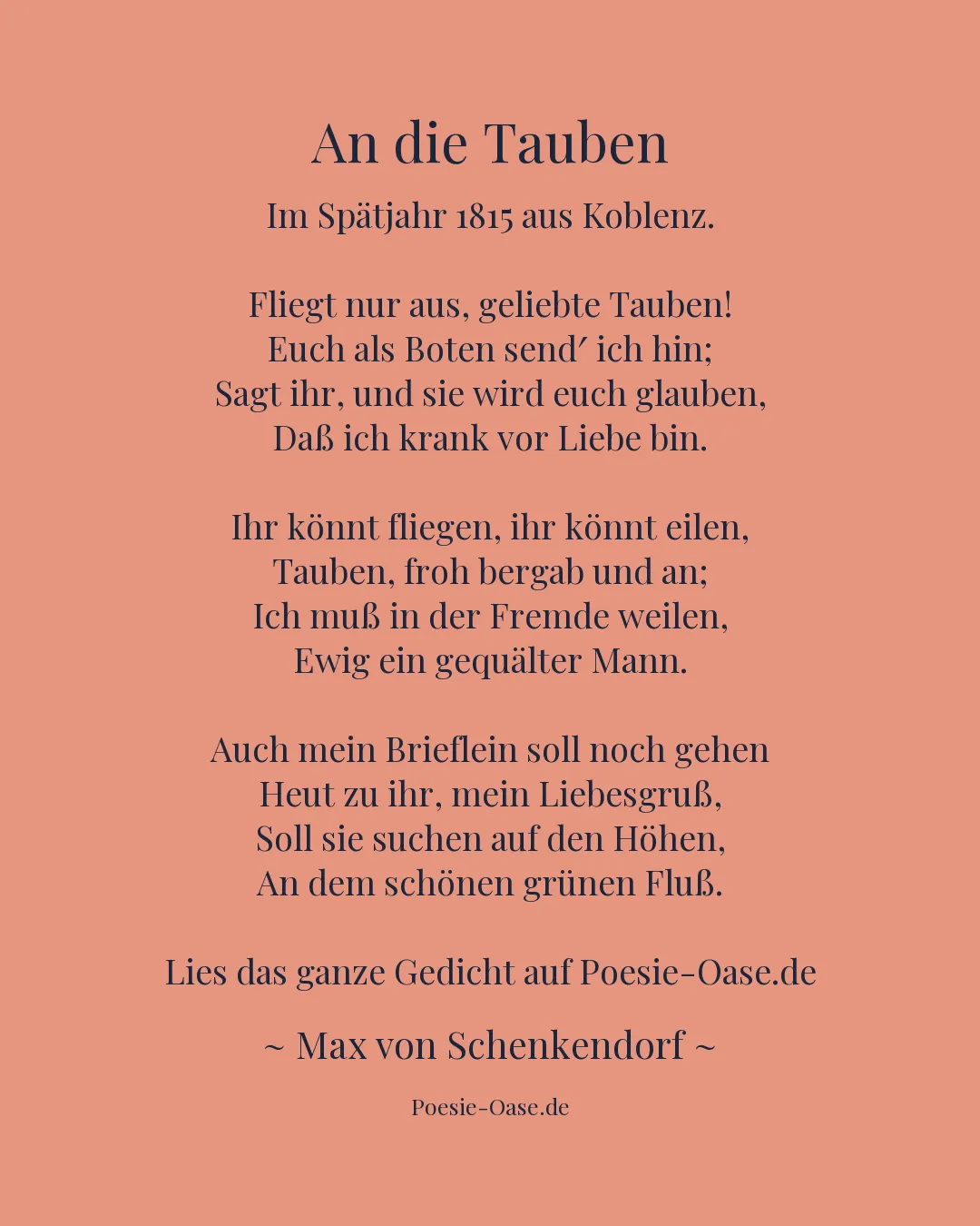 Illustration zu An die Tauben