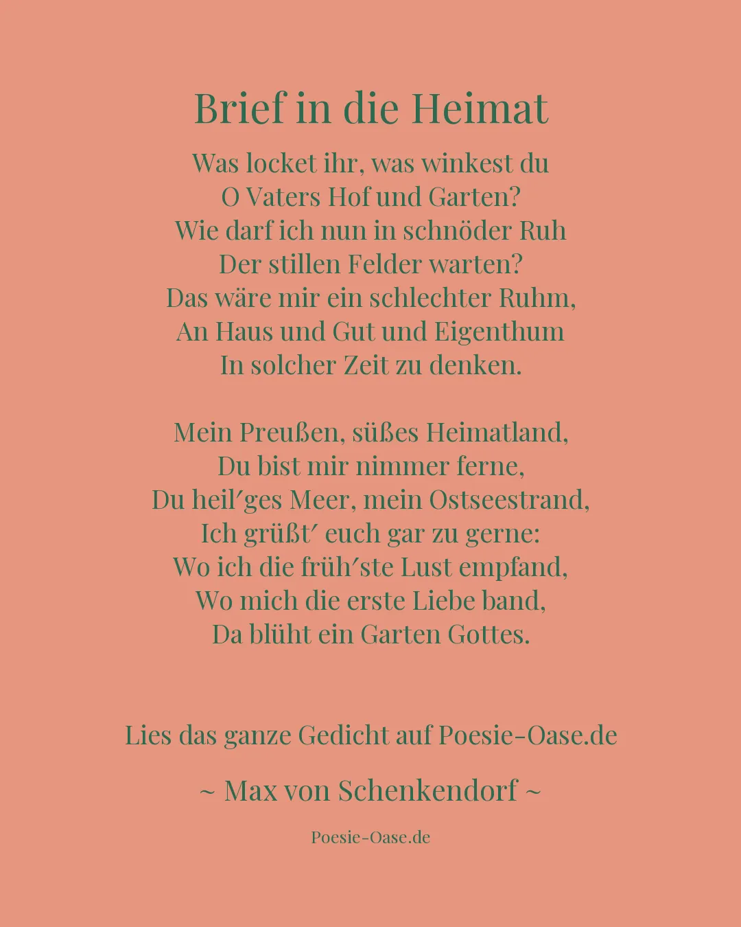 Illustration zu Brief in die Heimat