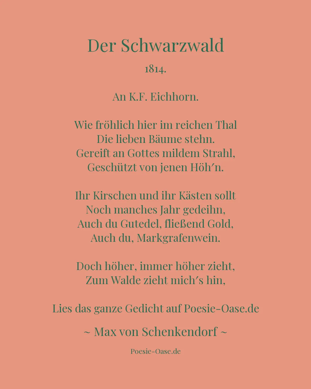 Illustration zu Der Schwarzwald