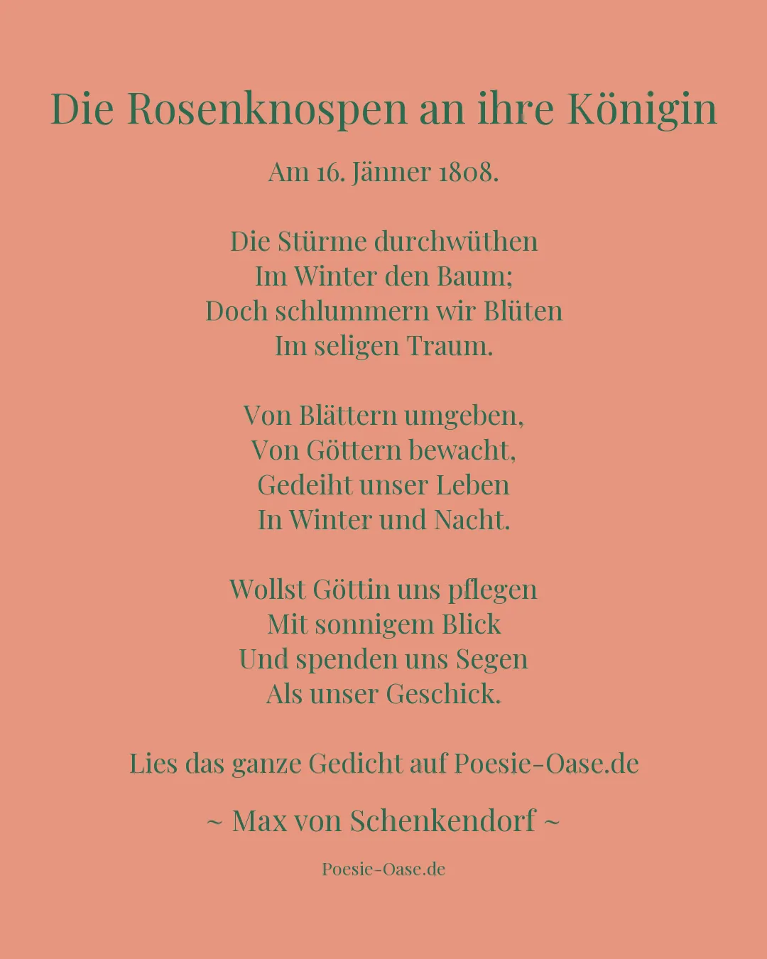 Illustration zu Die Rosenknospen an ihre Königin