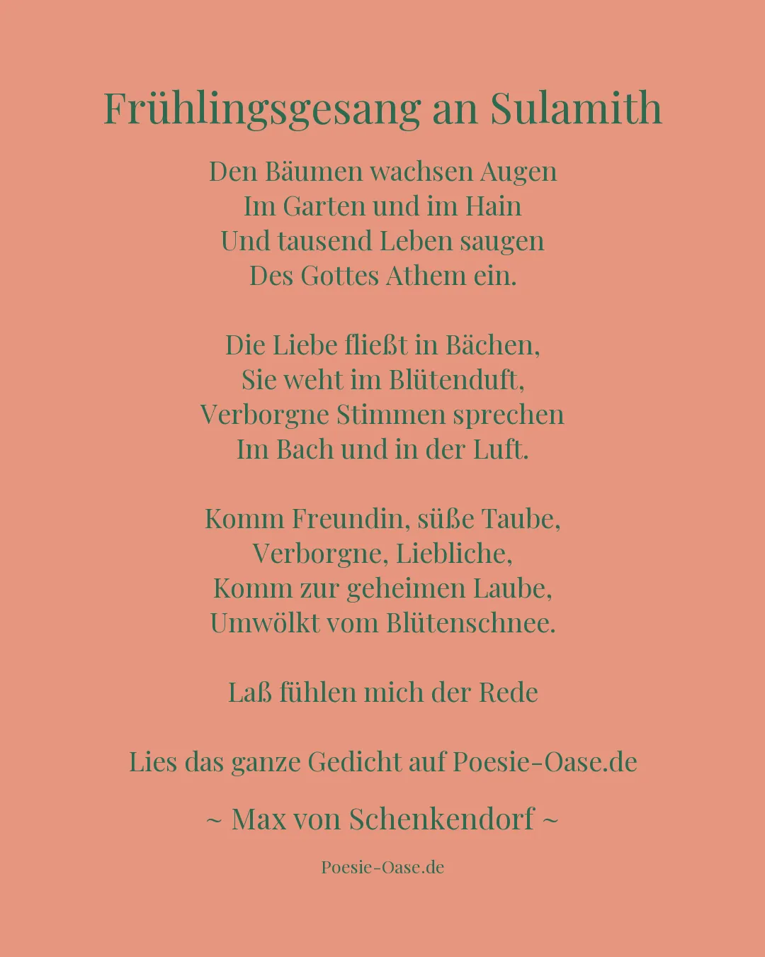 Illustration zu Frühlingsgesang an Sulamith