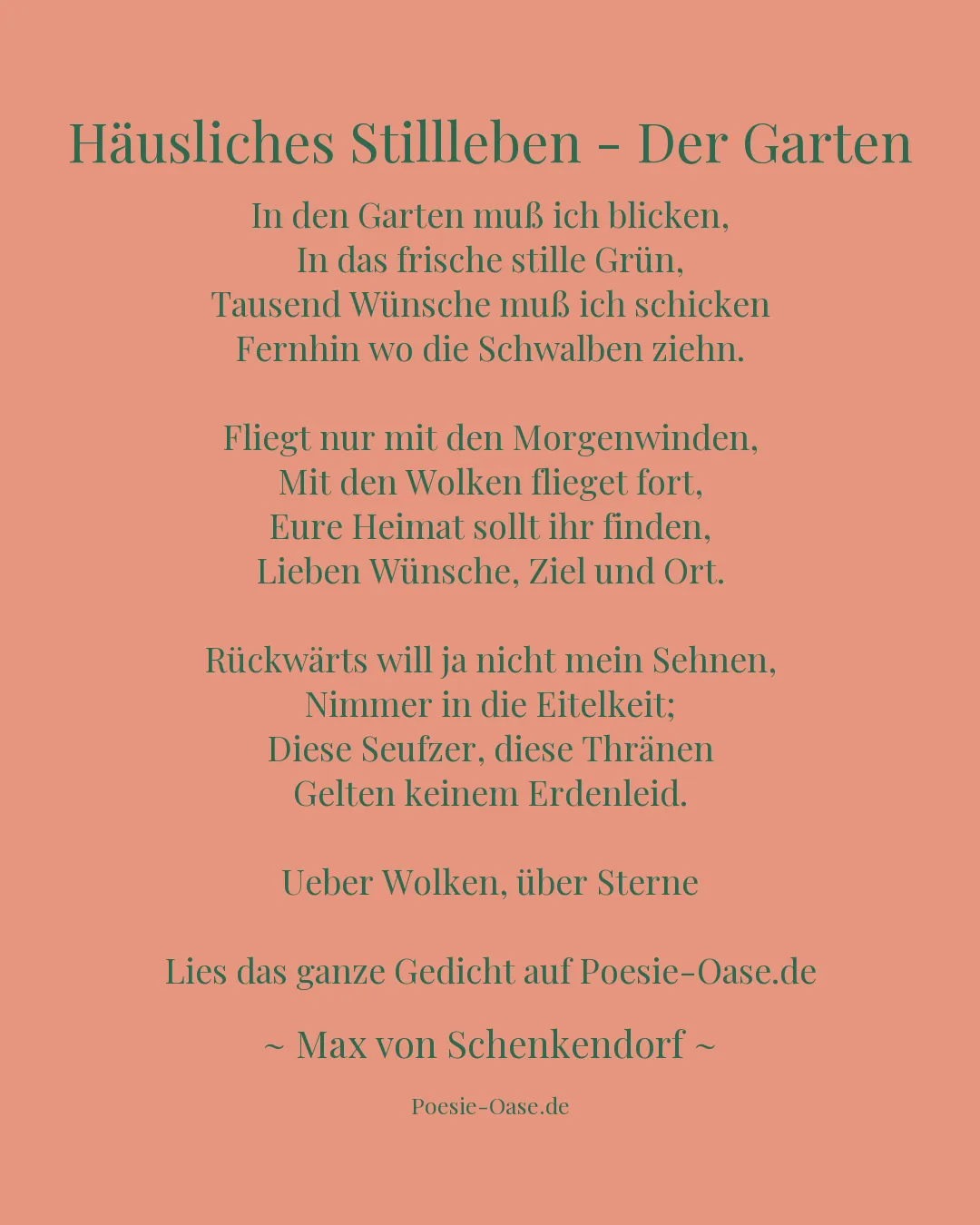 Illustration zu Häusliches Stillleben - Der Garten