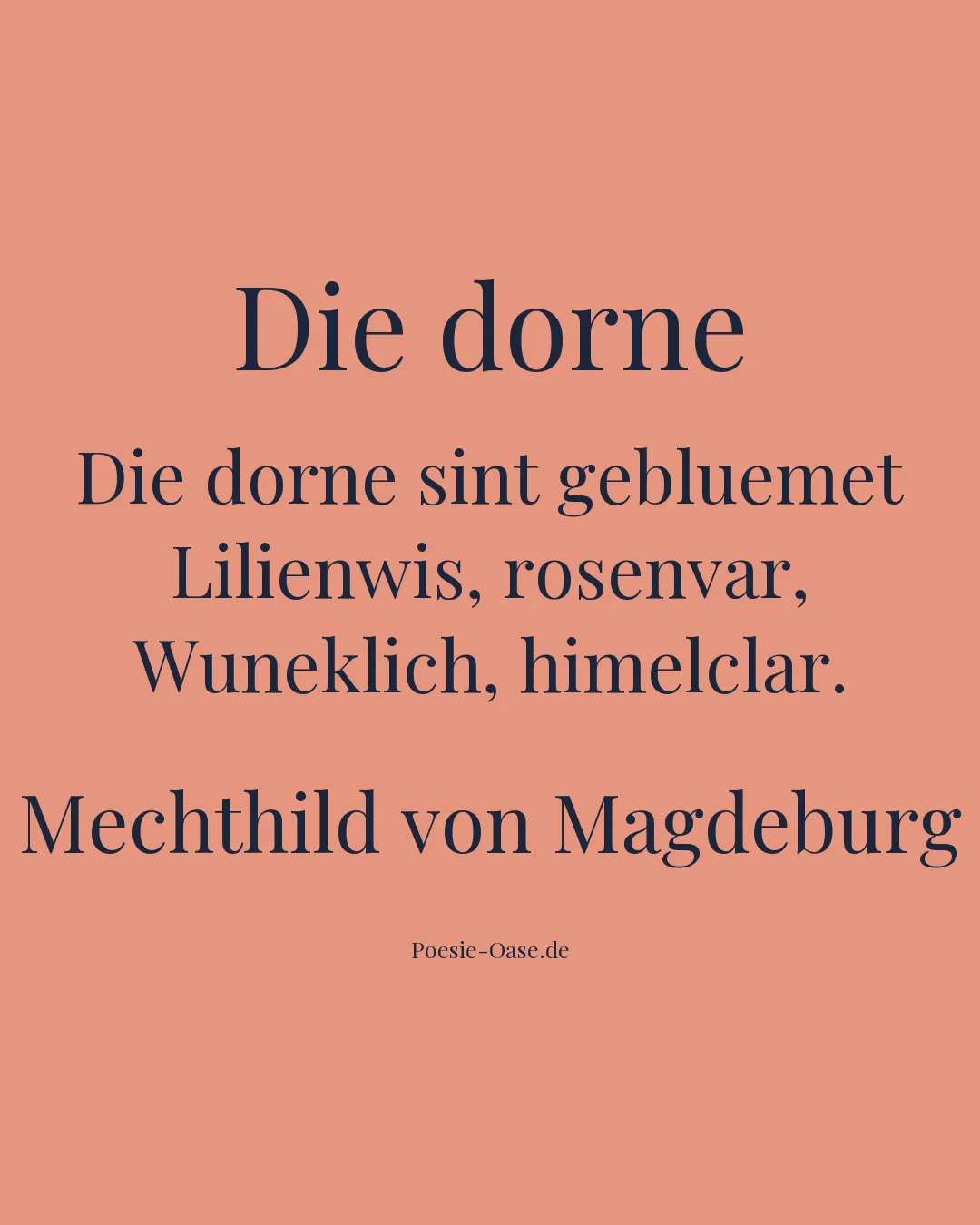 Illustration zu Die dorne