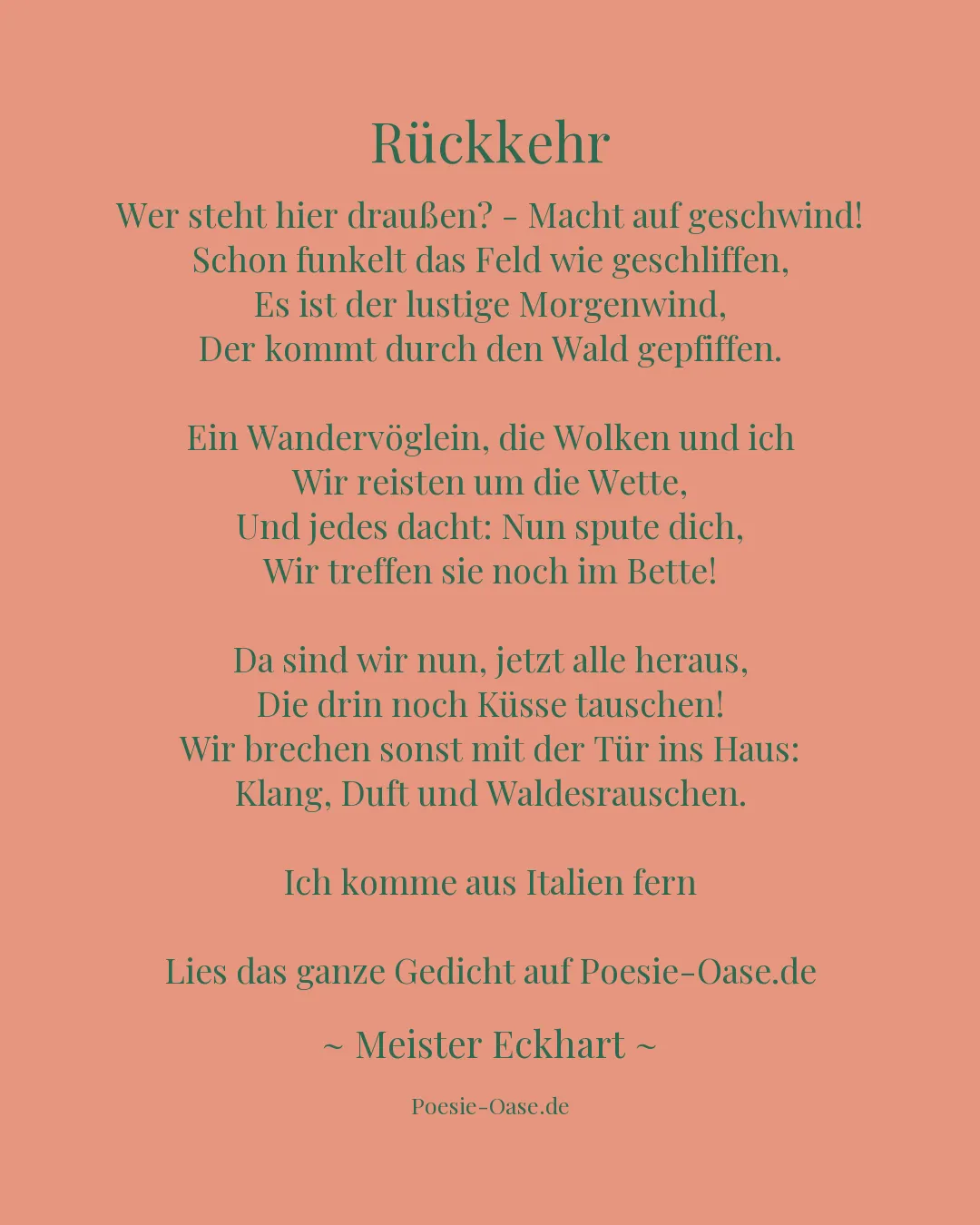 Illustration zu Rückkehr