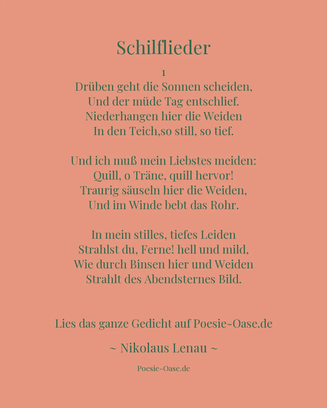 Illustration zu Schilflieder