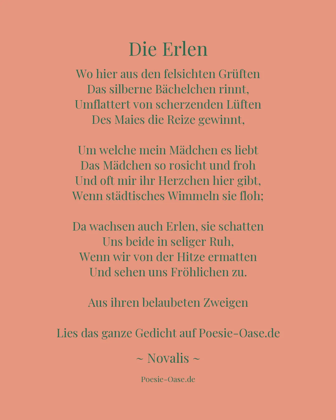 Illustration zu Die Erlen