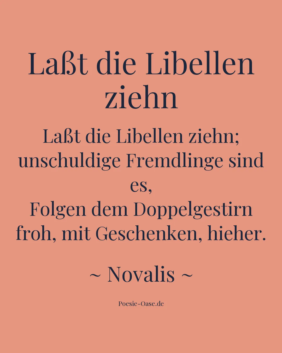 Illustration zu Laßt die Libellen ziehn