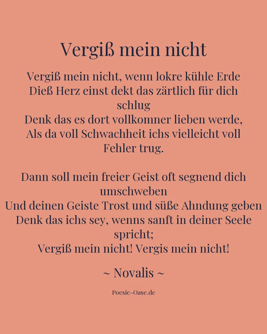 Illustration zu Vergiß mein nicht