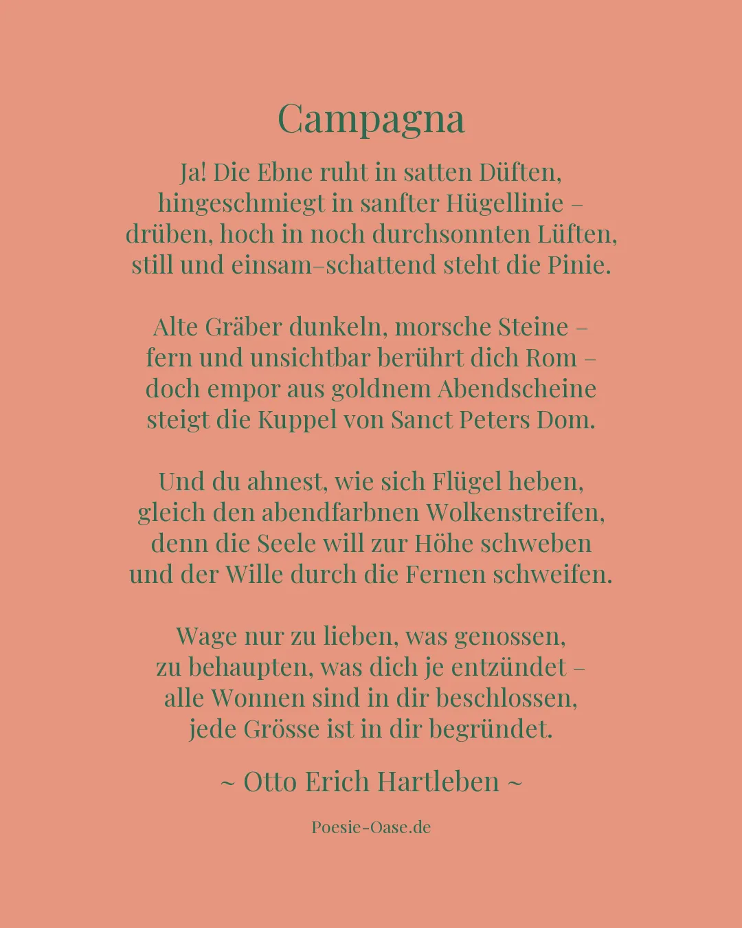 Illustration zu Campagna