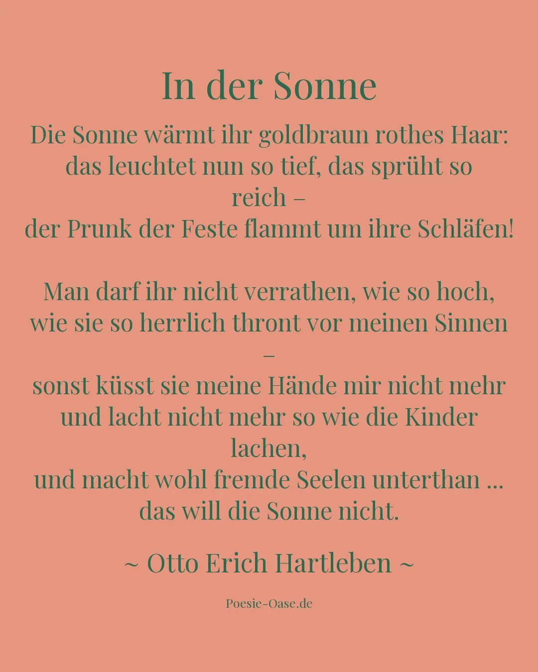 Illustration zu In der Sonne