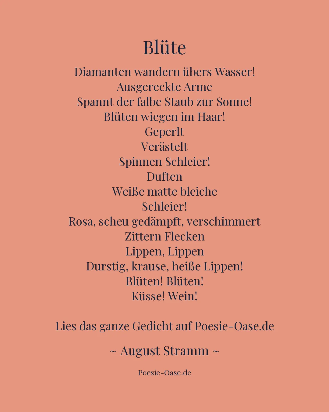 Illustration zu Blüte