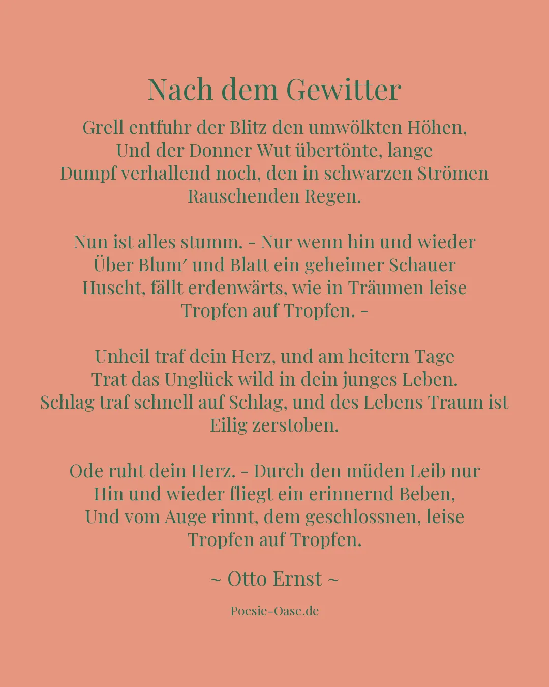 Illustration zu Nach dem Gewitter