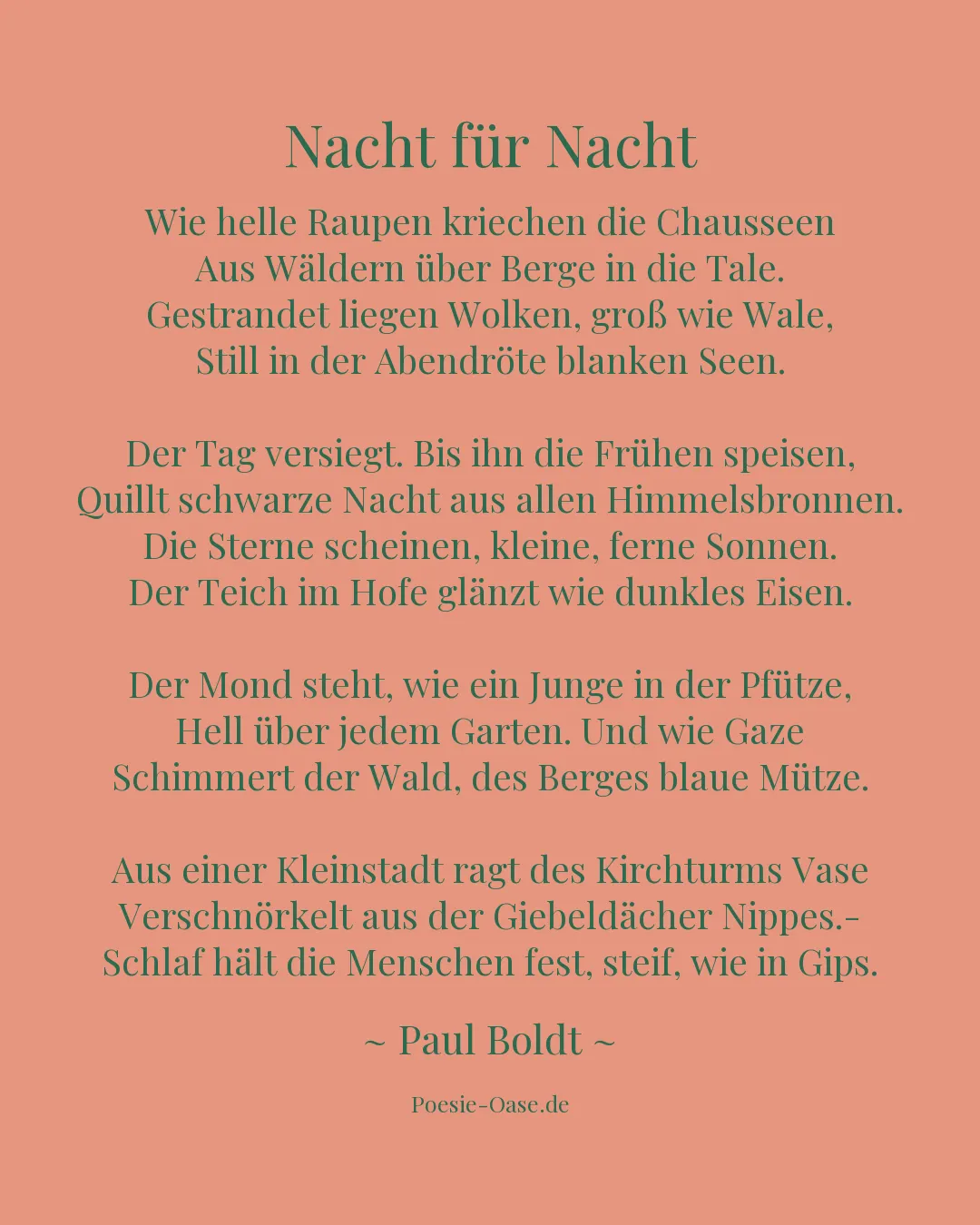 Illustration zu Nacht für Nacht
