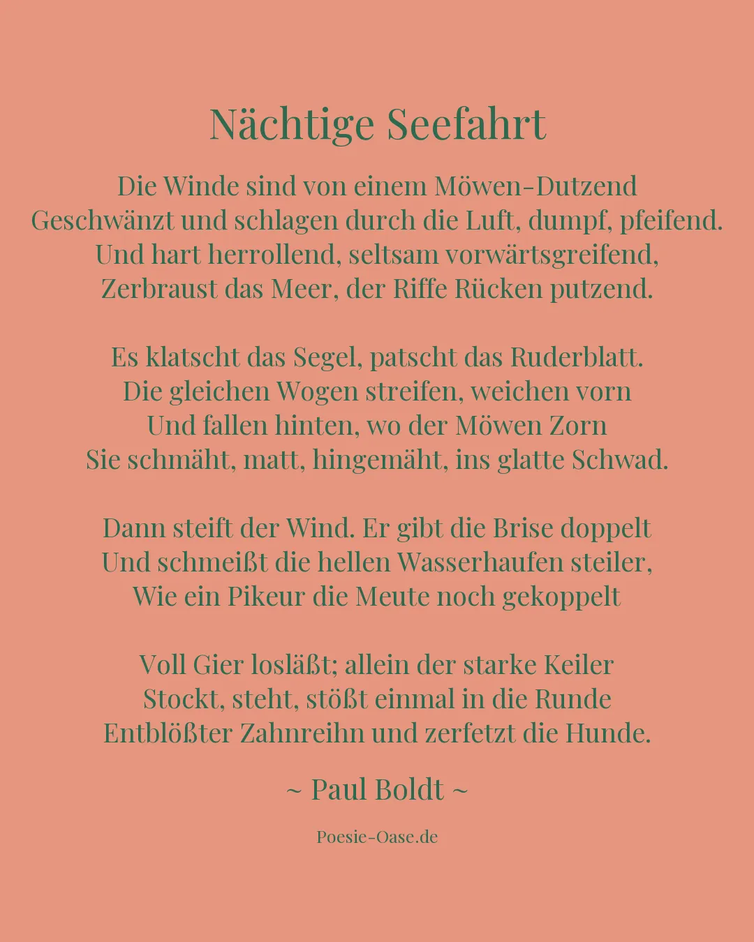 Illustration zu Nächtige Seefahrt