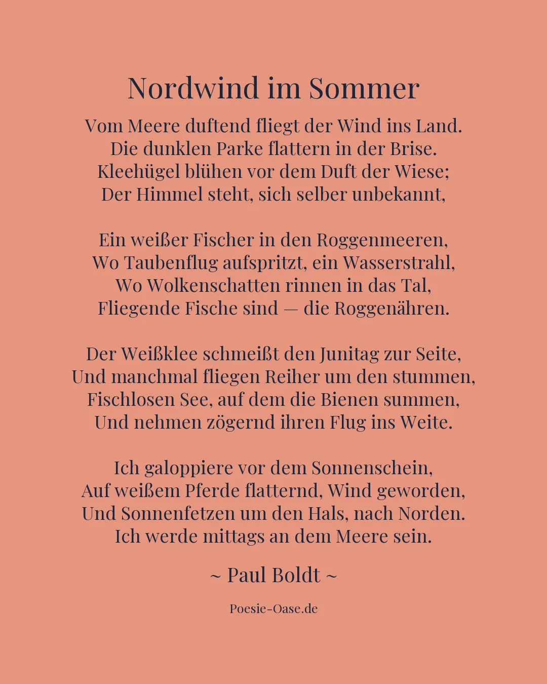 Illustration zu Nordwind im Sommer