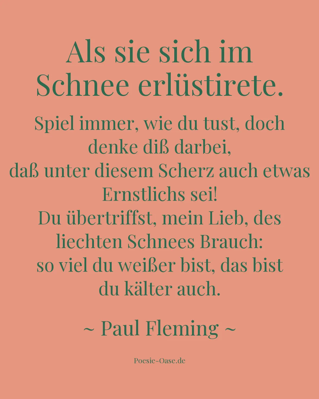 Illustration zu Als sie sich im Schnee erlüstirete.