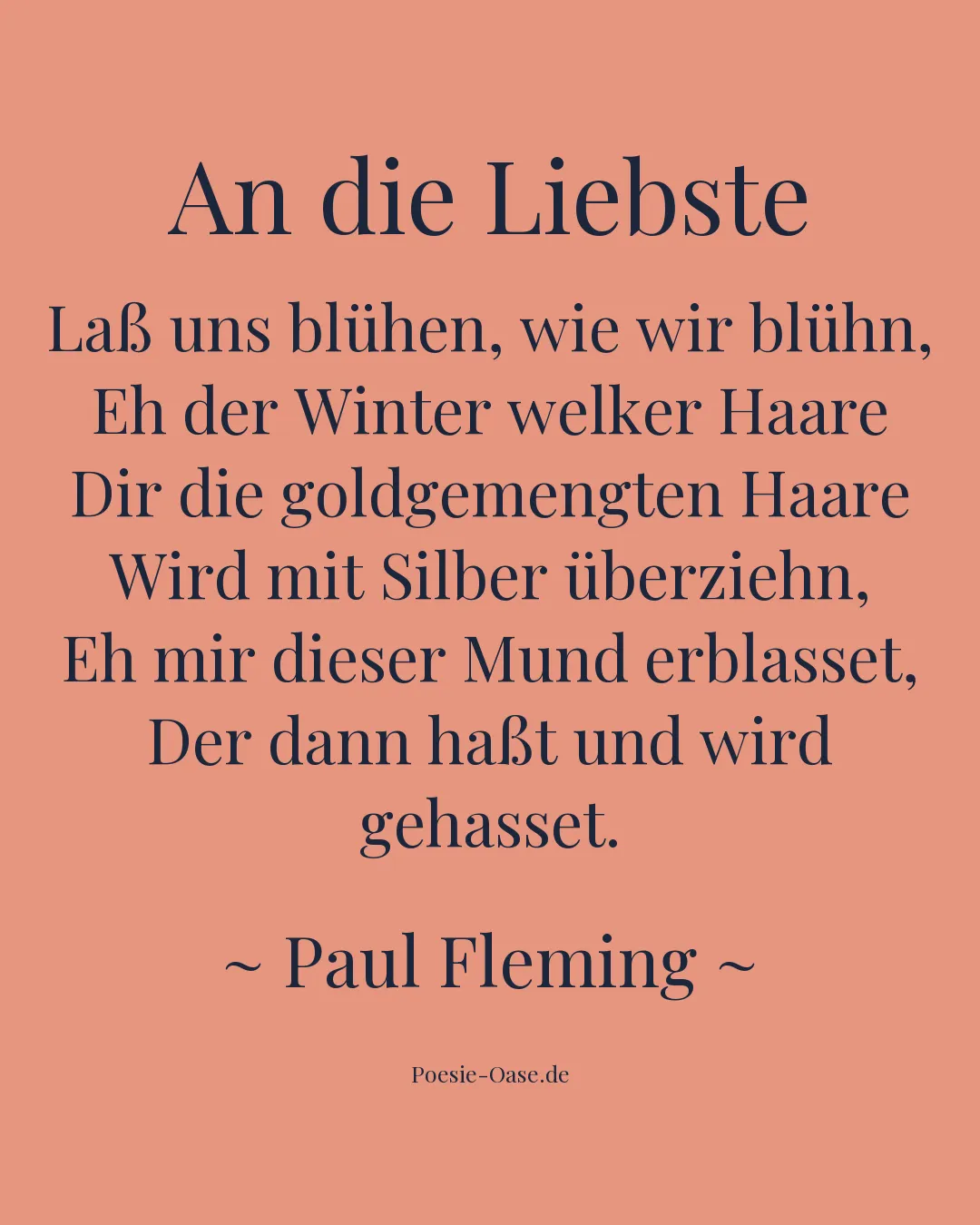 Illustration zu An die Liebste