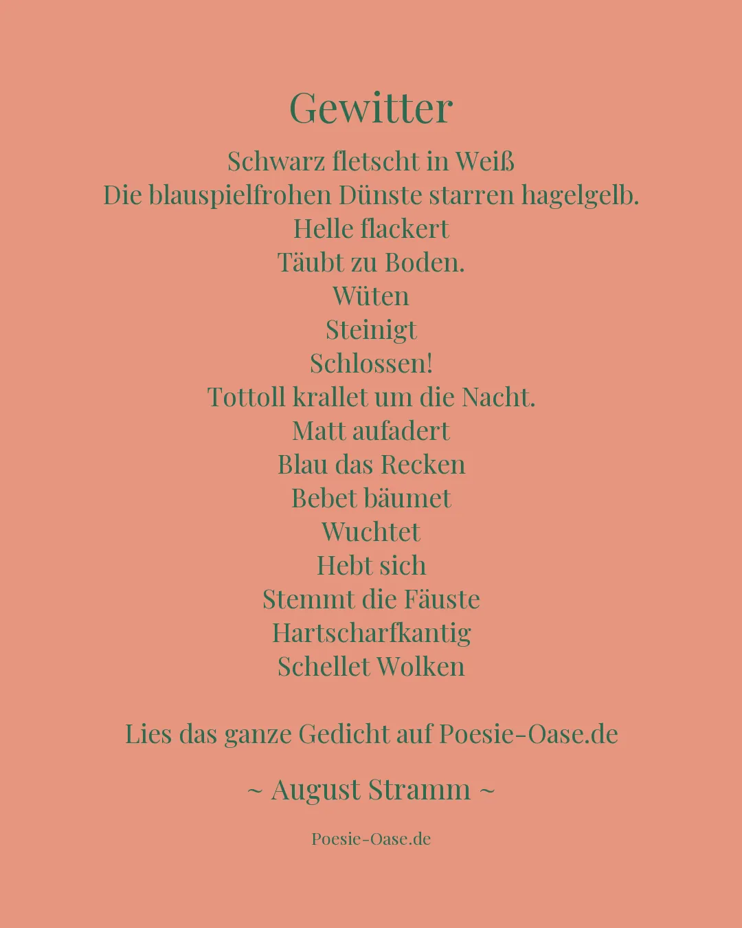 Illustration zu Gewitter