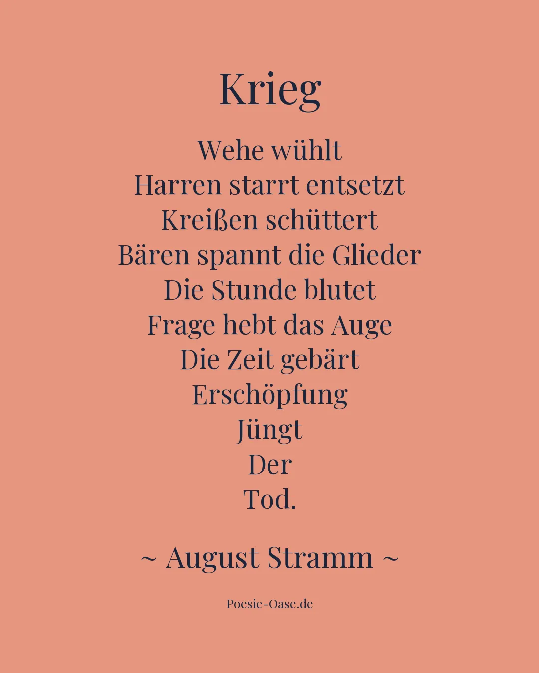 Illustration zu Krieg