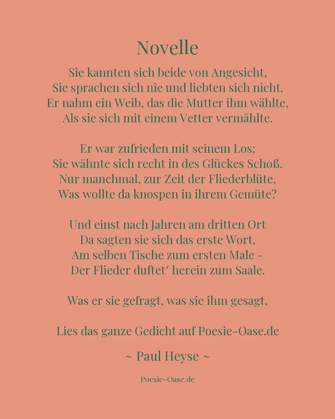 Illustration zu Novelle