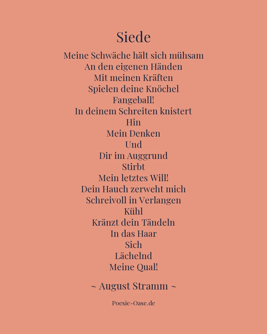 Illustration zu Siede